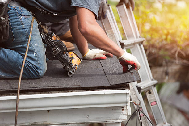 Roof Gutter Cleaning in Princeton, NC